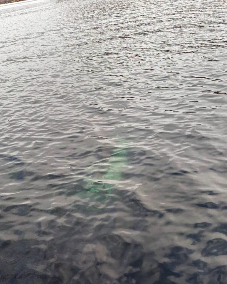 Hallaron una camioneta sumergida en un área protegida de Río Senguer e investigan a un comodorense