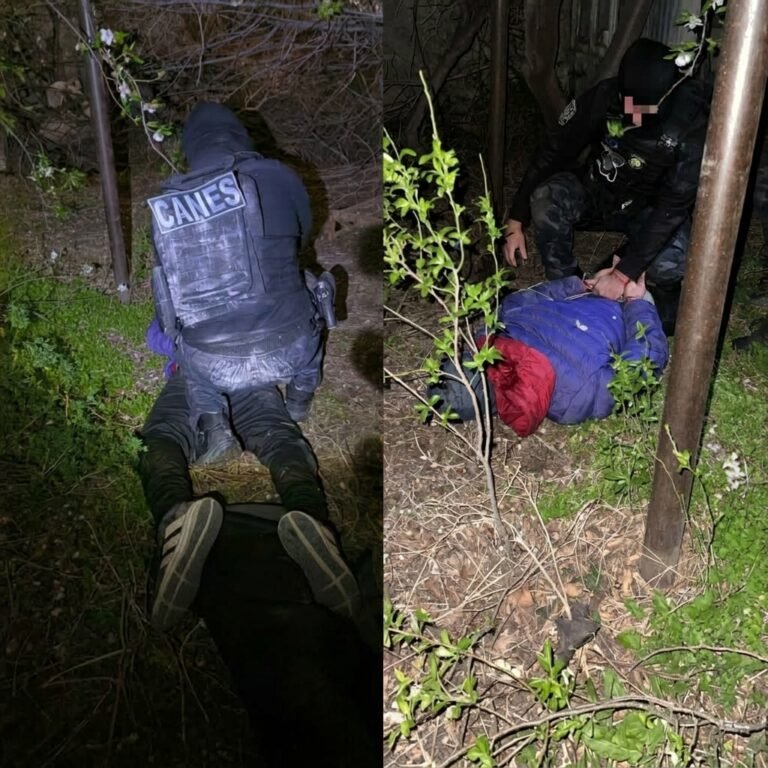 Ingresó al patio de una casa y lo atraparon escondido entre los arbustos