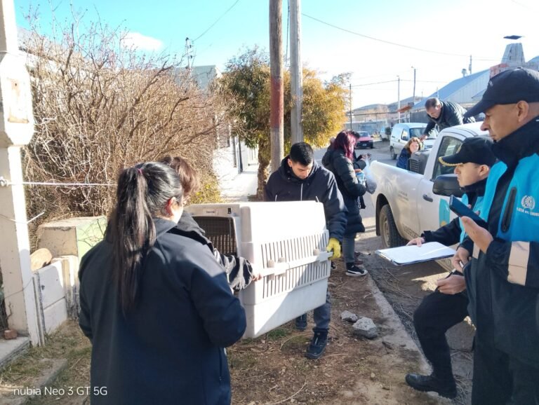 Rescatan a tres perros durante un allanamiento por maltrato animal en Diadema