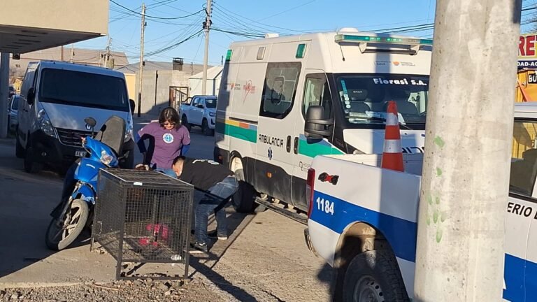 Una motociclista resultó herida tras perder el control al esquivar un perro