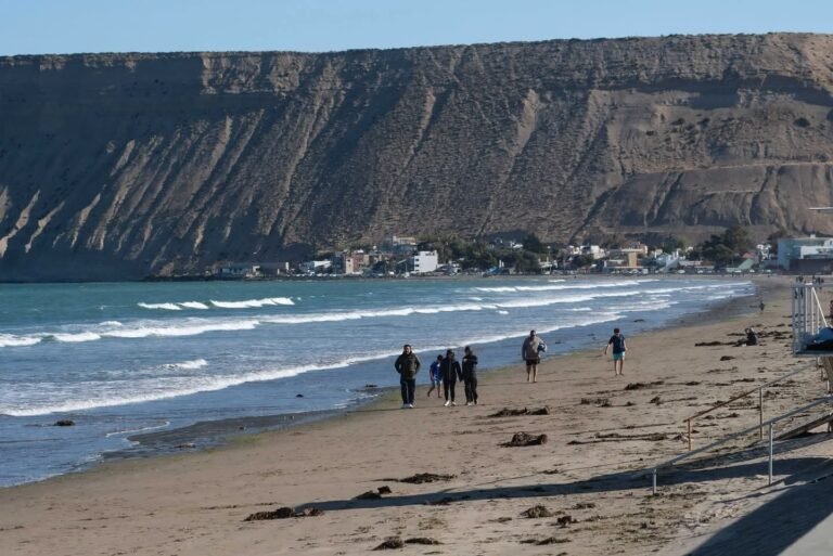 Alertan por un tenso momento con un perro suelto en la playa