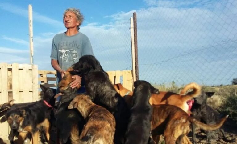 Campaña solidaria para ayudar a los perros de Oscar: lanzan una colecta de alimentos durante todo agosto