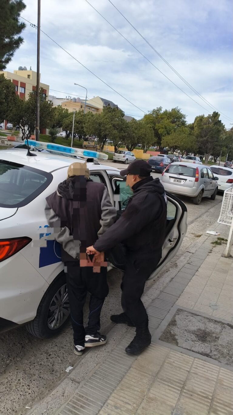 Cayó un reconocido delincuente cuando huía de un bazar con mercadería robada