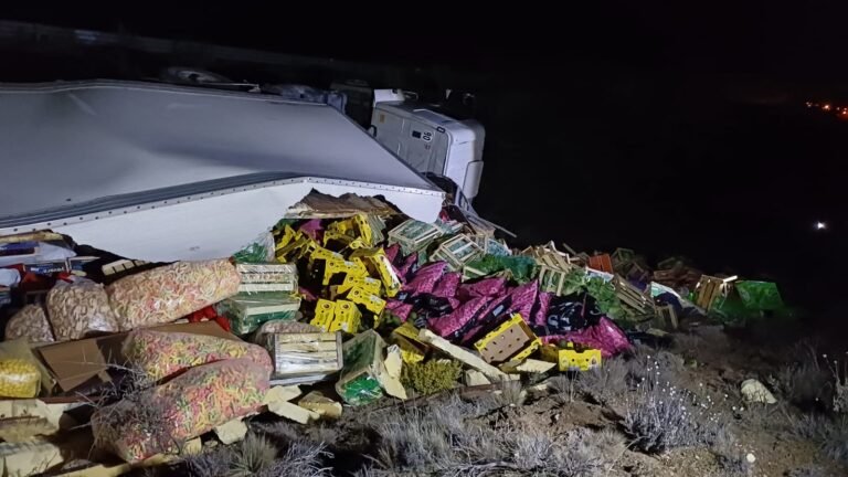 Un camionero se quedó dormido al volante y volcó en la Ruta 3
