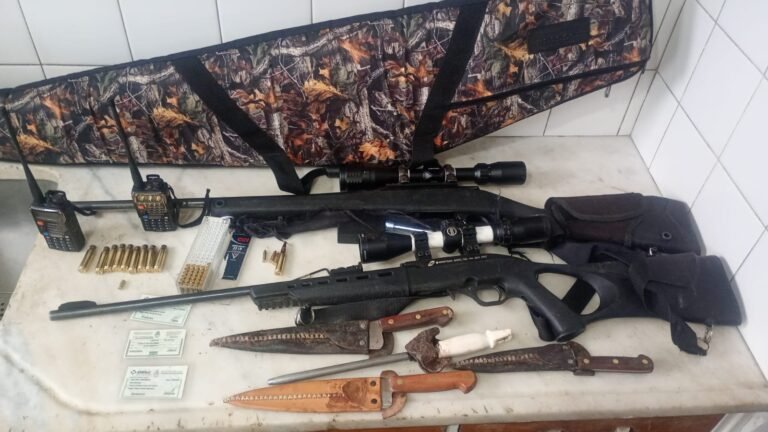 Ruta 29: los sorprendieron con armas, municiones y carne de guanaco en un control