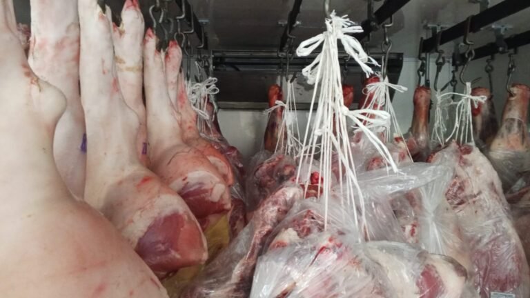 Secuestraron caballos desnutridos y un cargamento con 23 medias reses de cerdo