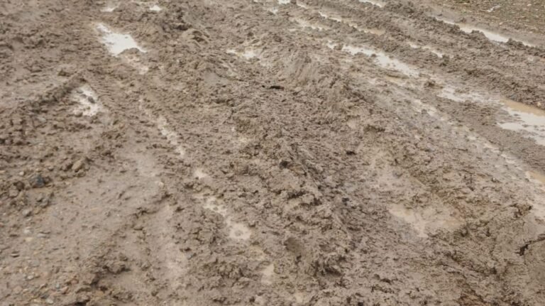 “No tenemos respuesta de Ostoich”: el estado de las calles dejó sin colectivos a Bella Vista Sur