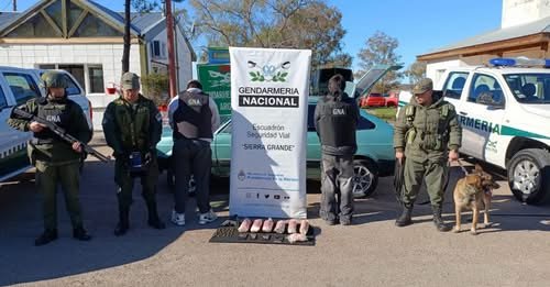 Ocultaban cocaína, marihuana y una pistola cargada en las puertas de un auto sobre la Ruta 3