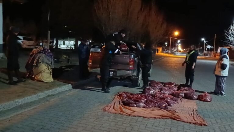 Incautaron 700 kilos de carne de guanaco que eran transportados de forma irregular por la Ruta 40