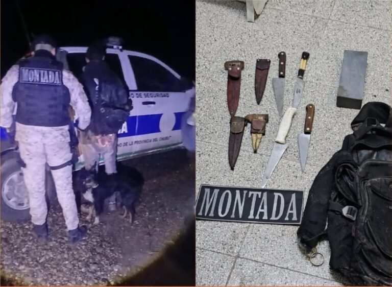 Utilizaban a “Chicho” para robar animales