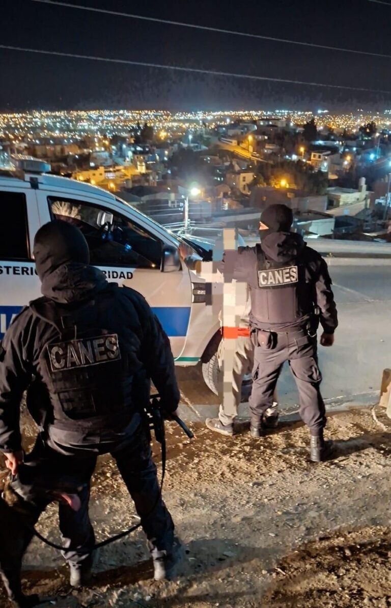 Cayó prófugo de la Justicia tras un control de rutina de la División Canes