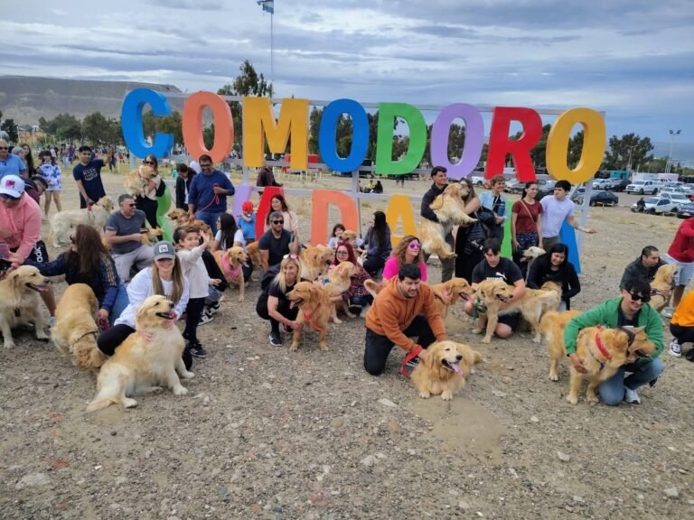 Encuentro de Golden Retriever en el Parque de la Ciudad con fin solidario