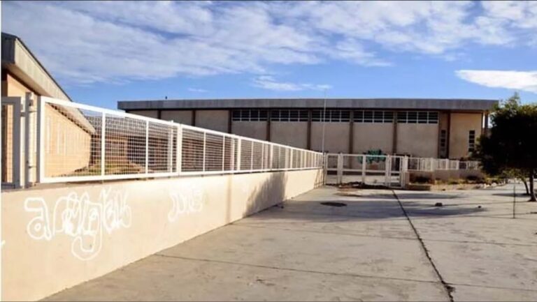 Alarma en Kilómetro 5: dos perros mordieron a un nene en las inmediaciones de un colegio