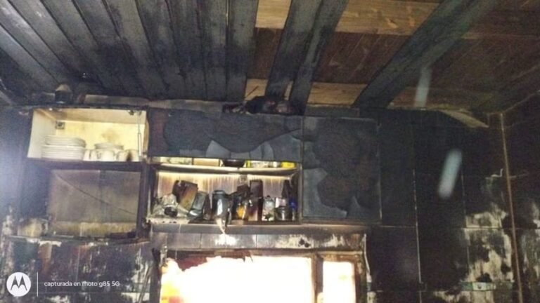 “Estoy viva gracias a ella”: colecta para alimentar a sus mascotas que la salvaron de un incendio