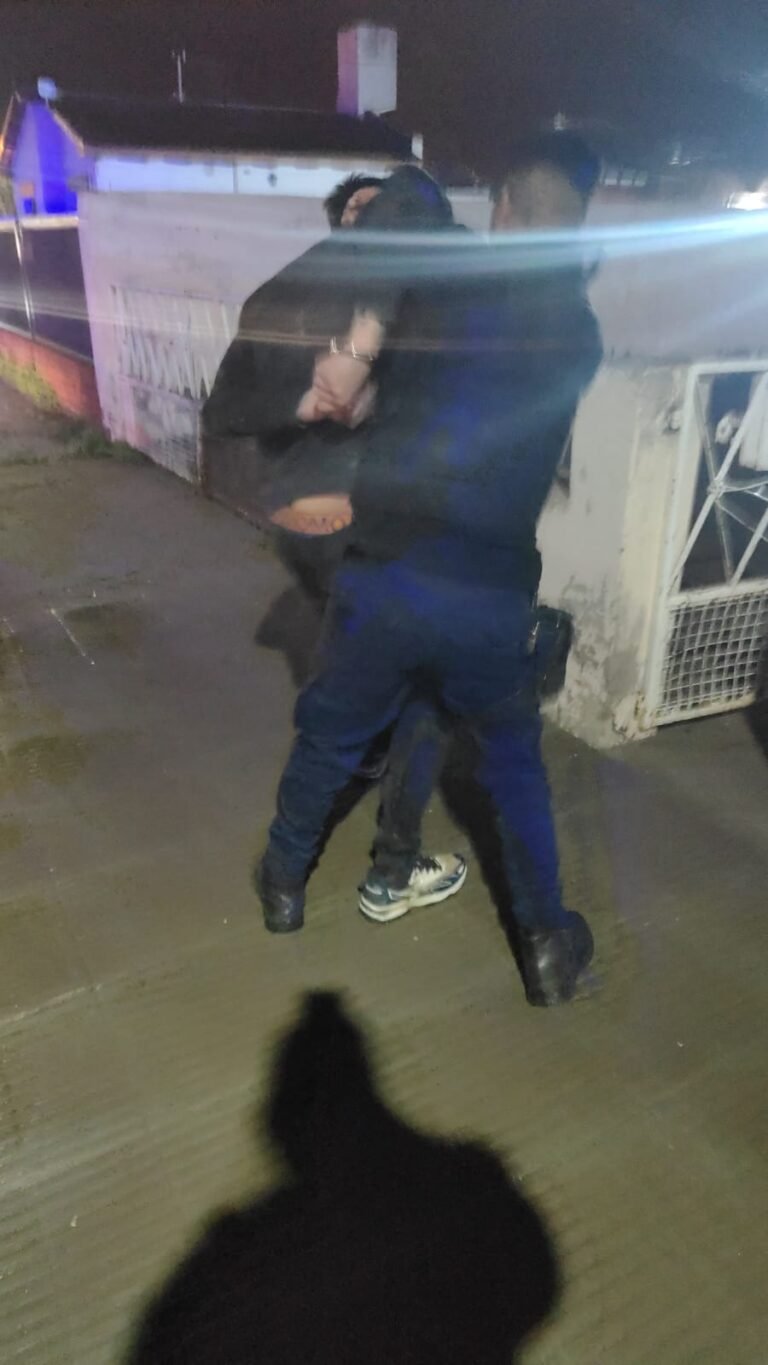 Atrapan a tres personas cuando escapaban con una escalera robada de una obra