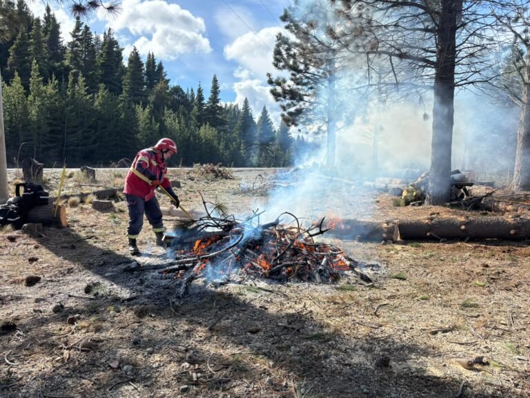 Chubut destina $350 millones para la prevención de incendios forestales en diez municipios