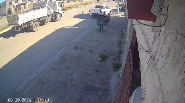 Un camión atropelló y mató a un perro: piden reductores de velocidad