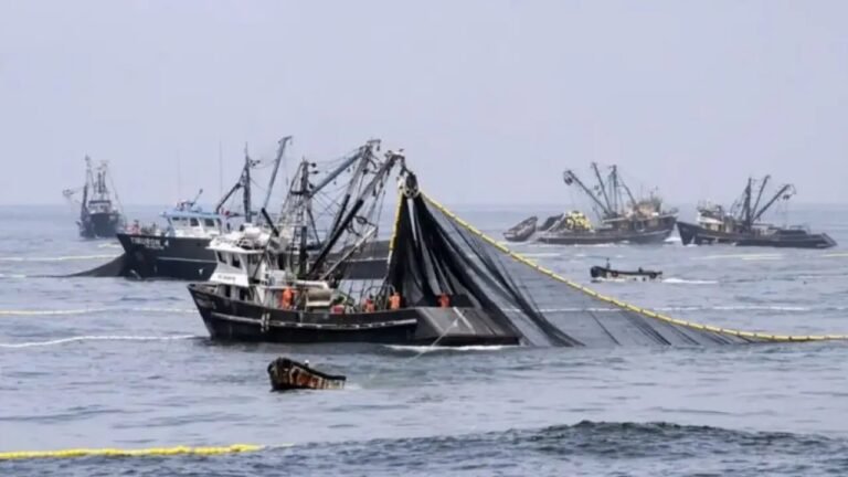 Luque exigió tratar de manera urgente el proyecto para penalizar con cárcel la pesca ilegal