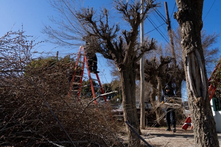 Difunden el cronograma de “Barrio Limpio” para el retiro de residuos voluminosos y restos de poda