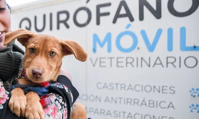 Otorgarán turnos para una nueva jornada gratuita de castración y vacunación en el barrio Juan XXIII