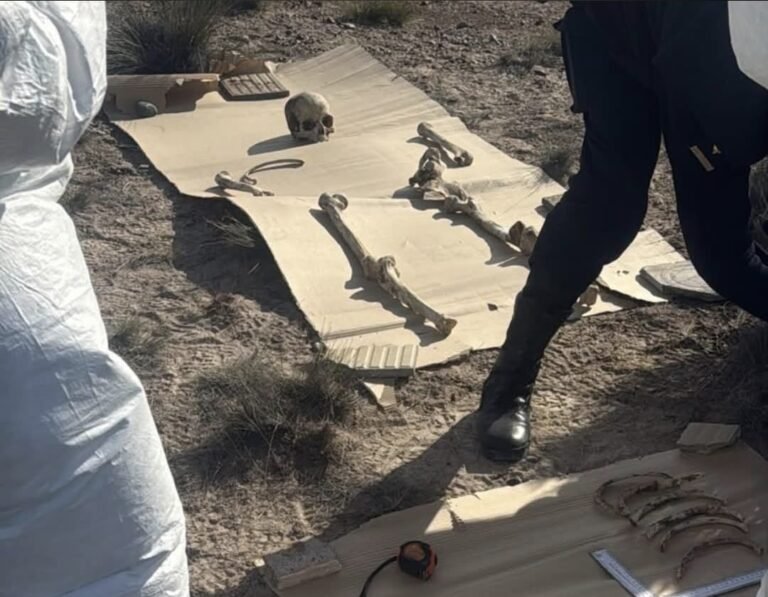 Descartan un crimen reciente tras el hallazgo de 125 huesos en la Ruta 3