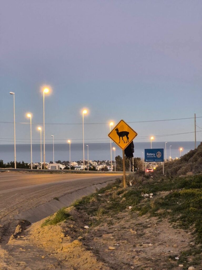 Cartelería de animales sueltos en Rada Tilly: un logro impulsado por los vecinos para prevenir accidentes