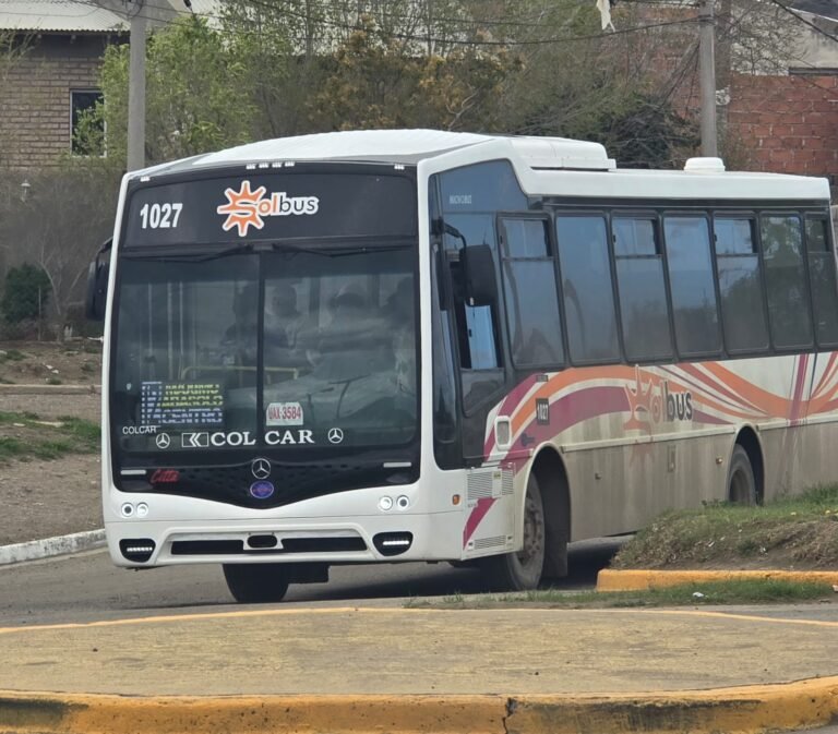Suspendieron provisoriamente el servicio de la Línea 15 por el mal estado de las calles