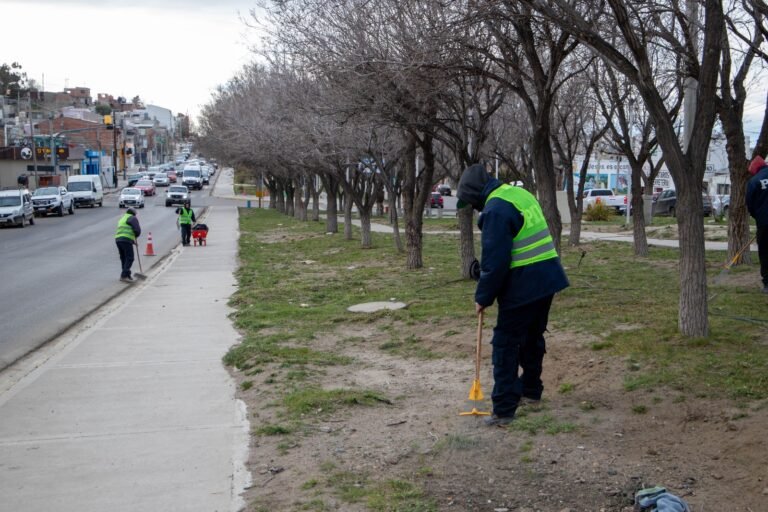 Intensifican tareas de desmalezado y despeje en avenidas y espacios públicos