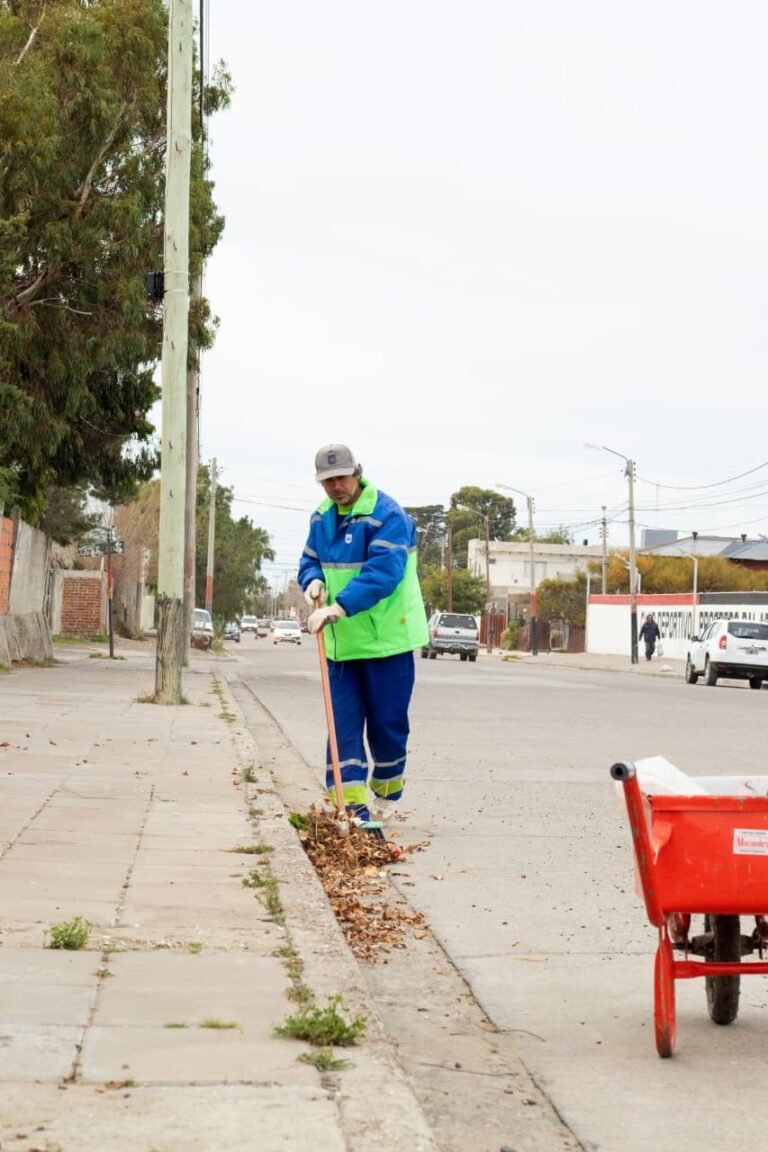 Piden precaución en la Ruta 3 por un despliegue de limpieza con maquinaria pesada