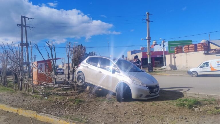 Un auto chocó contra un árbol tras impactar con un bache en Km 8