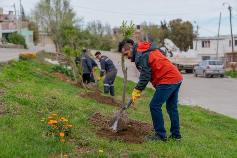Comodoro suma 56 nuevos árboles y prepara más plantaciones