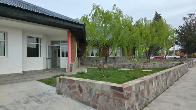 Chubut incorporó 80 profesionales de enfermería al sistema de salud pública