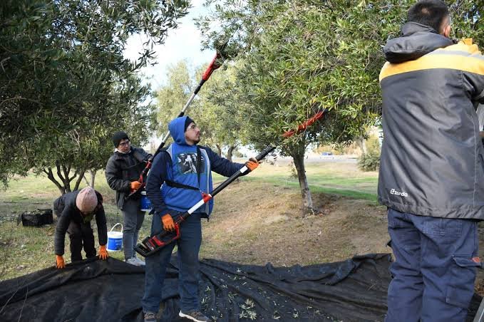 Comodoro y Rada Tilly firmaron un acuerdo de colaboración para fortalecer la matriz productiva