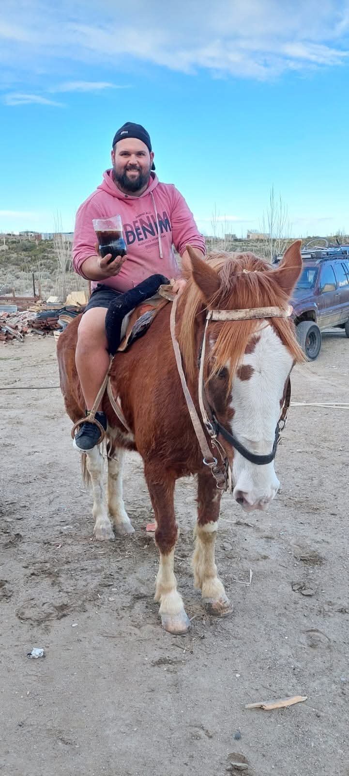 “Te pido perdón si no pude protegerte”: la desgarradora despedida a “Pampa”, el caballo faenado