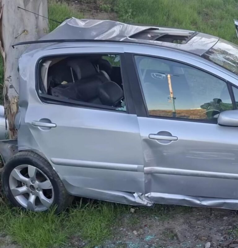 Chocó en el centro, intento escapar y terminó estrellado contra un árbol en la “curva del papa”