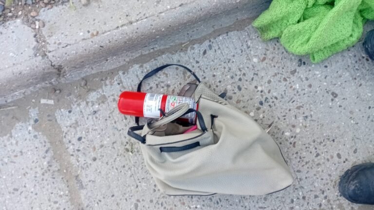 Intentó robar elementos de un vehículo y fue aprehendida por la Policía