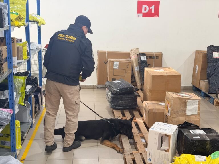 Secuestran marihuana y un arsenal de municiones en una empresa de paquetería