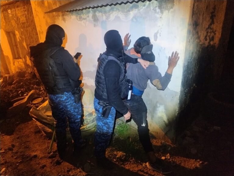 Detuvieron a dos jóvenes tras intentar robar una ventana y una bacha