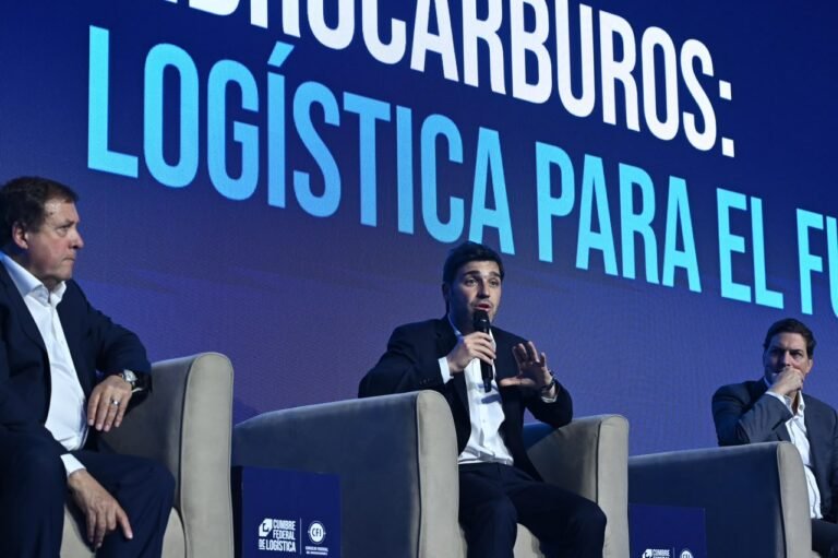 Torres planteó en la Cumbre Federal de Logística el potencial energético patagónico