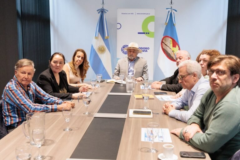 Buscan transformar el potencial eólico de Chubut en nuevas industrias