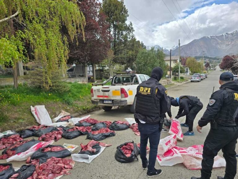 Secuestraron carne de guanaco y puma que presuntamente iba a venderse en carnicerías
