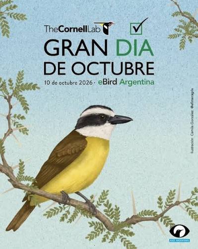 Caleta Córdova será sede de la Fiesta de las Aves en el marco del October Big Day 2026