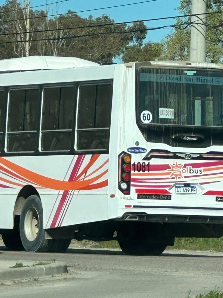 “No lo vi”: la respuesta del chofer tras ser acusado de atropellar a un perro en Standart Norte